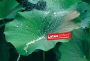 Lotusan - Schmutz perl mit dem Regen ab